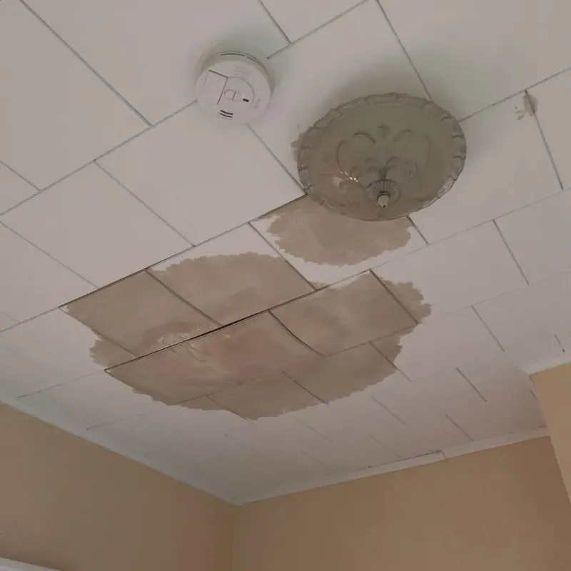 Ceiling Water Damage Repair in Broxton, GA