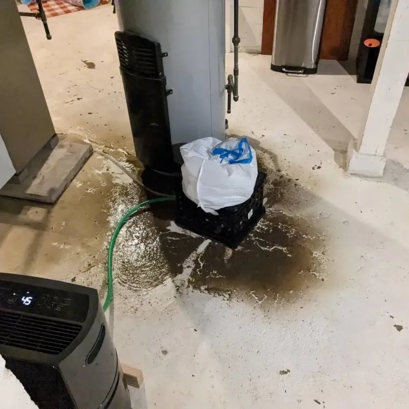 Sewage Backup Cleanup Service in Broxton, GA